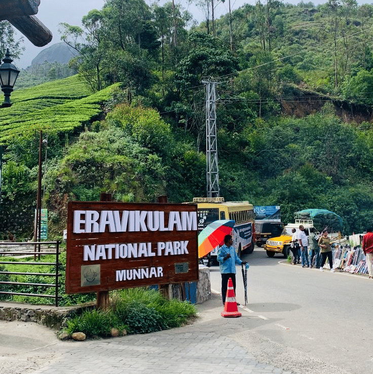 Eravikulam National Park Munnar
