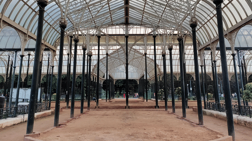Interior of a Victorian glasshouse featuring a symmetrical white wrought iron frame and a vaulted glass ceiling.