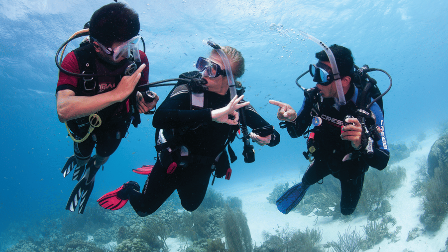 Scuba divers exploring underwater reef with instructor guidance in clear blue waters.