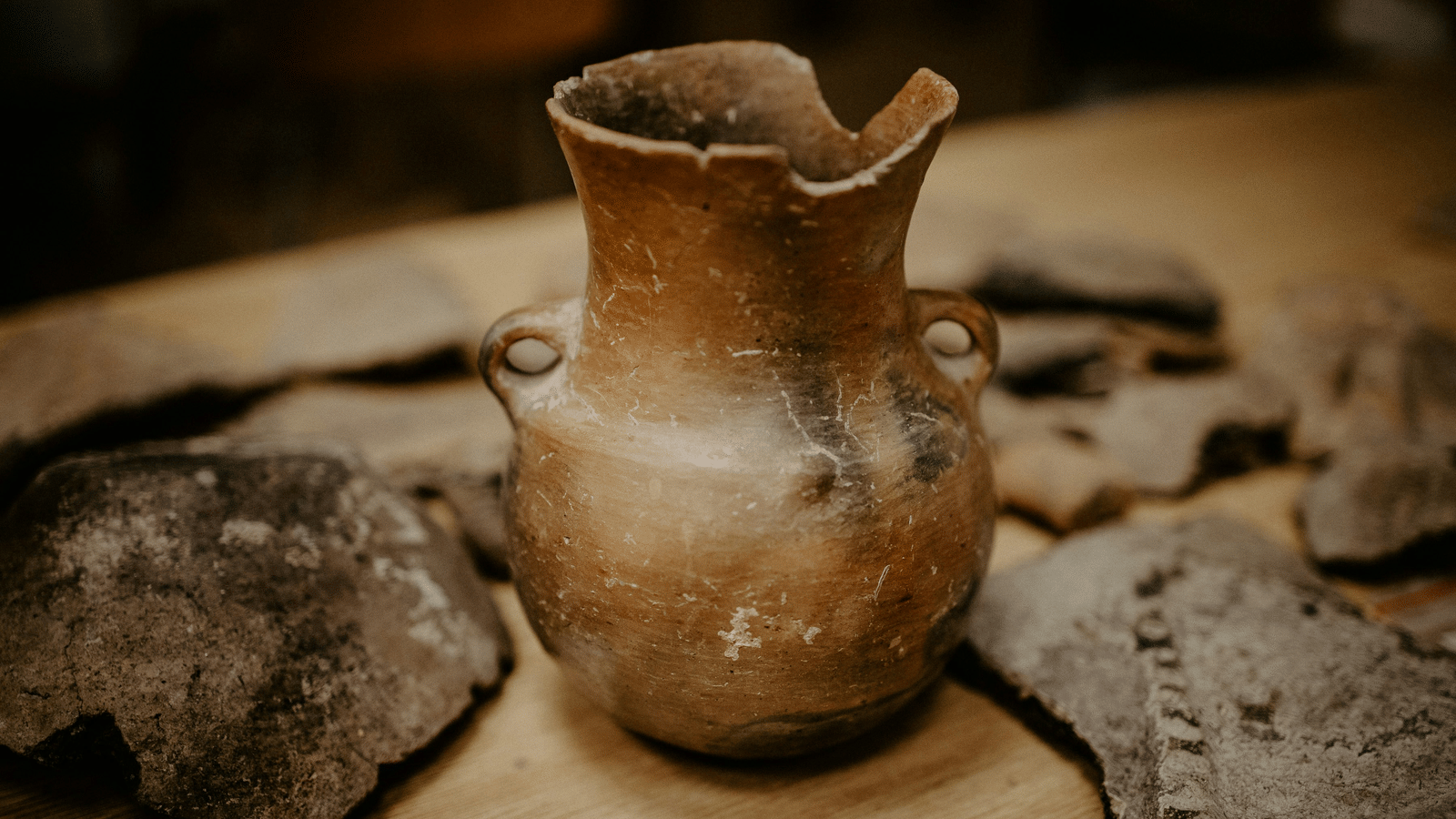 trnava-university-uKtCug0SKuk-unsplash