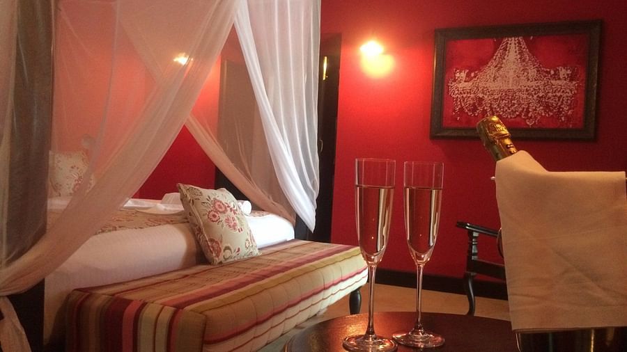 view-of-the-room-within