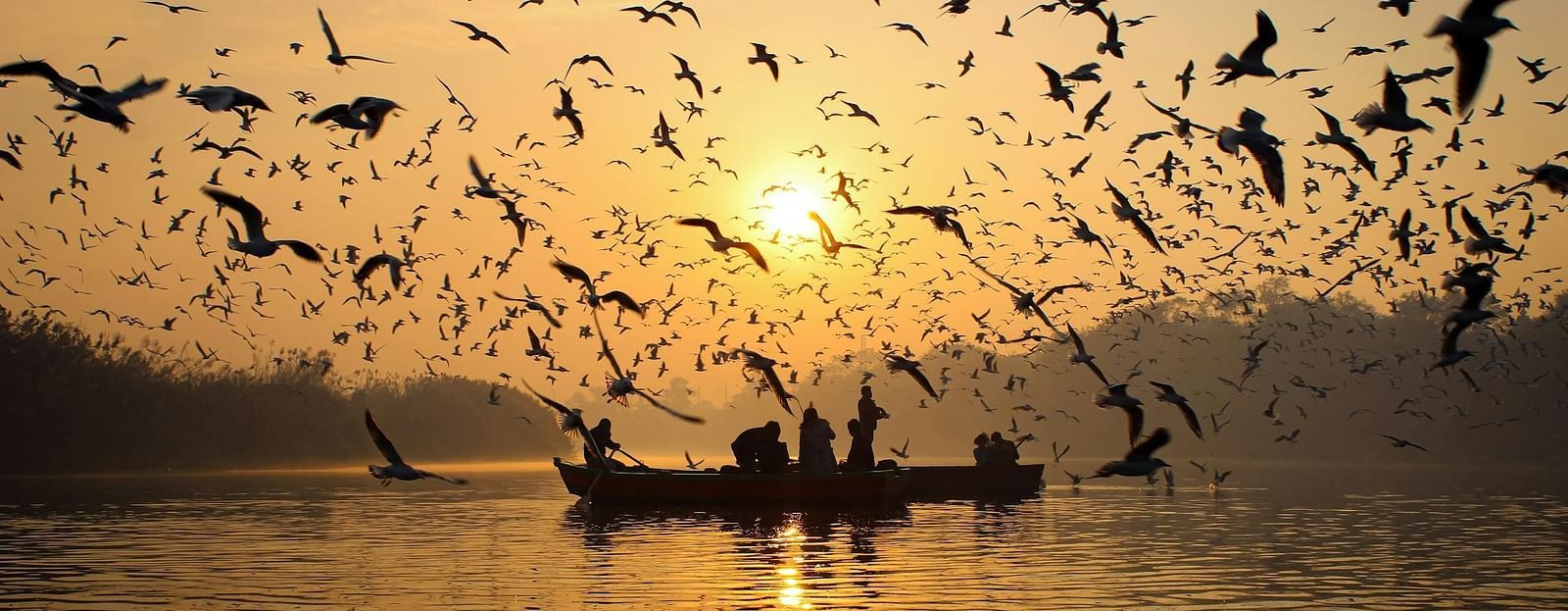 An image of two individuals on a boat surrounded by birds.