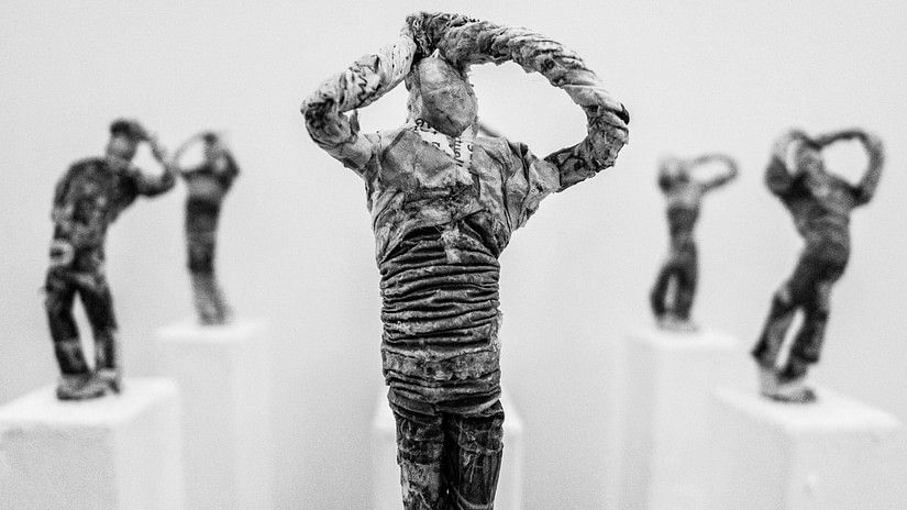 Wire sculptures at chandigarh, attractions at chandigarh, Sarovar hotels, Chandigarh Hotels, Experience chandigarh