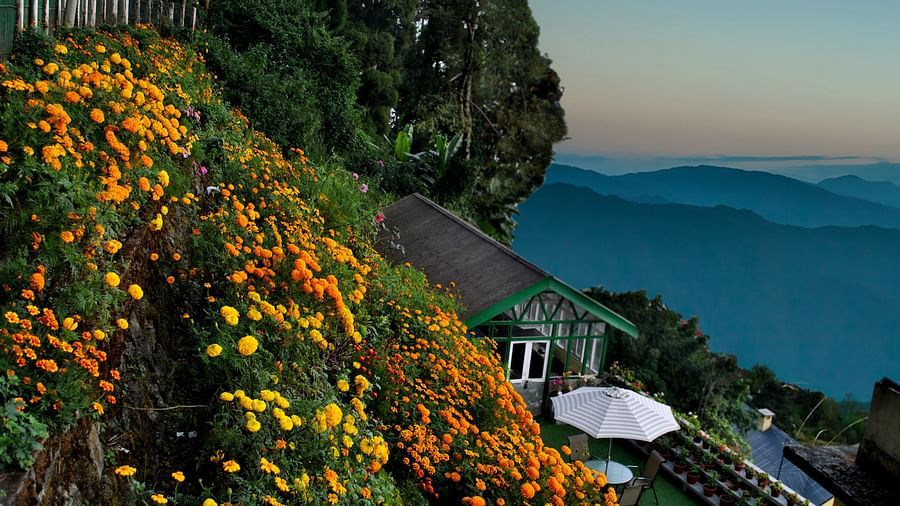 Central Gleneagles Resort, Darjeeling Darjeeling Hotel Lobby Central Gleneagles Resort Darjeeling