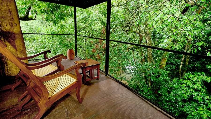 Balcony area with wooden chair overlooking dense forest at Vythiri Resort, Wayanad