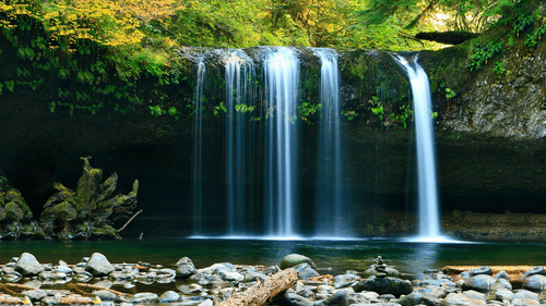 An overview of a waterfall cascading down to a waterbody with forest cover in the background