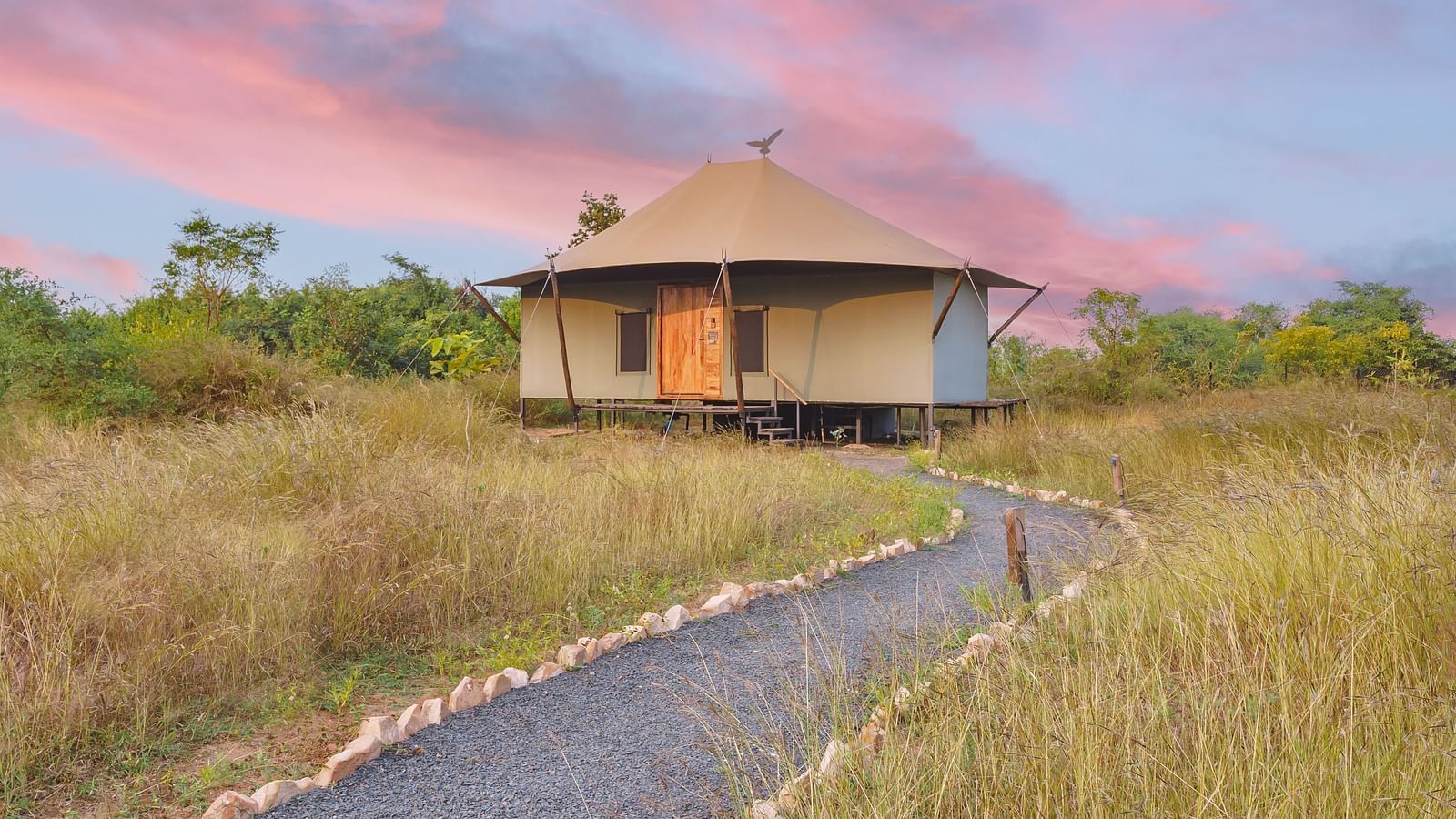 A hut shaped tent in the middle of a jungle at Trees N Tigers, Tadoba.