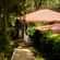 Young Island Resorts - Coorg Coorg Young Island Resorts Coorg 2