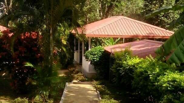 Young Island Resorts - Coorg Coorg Young Island Resorts Coorg 2