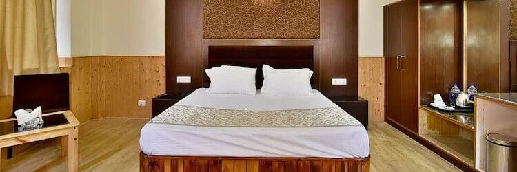 A well-lit room at DLS Hotel Devlok, Manali with a double bed