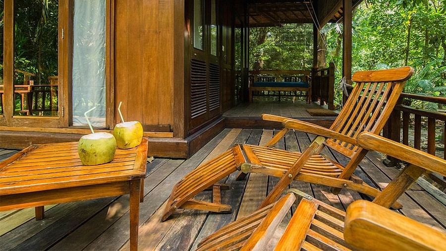 lounge chairs at our resort in Havelock