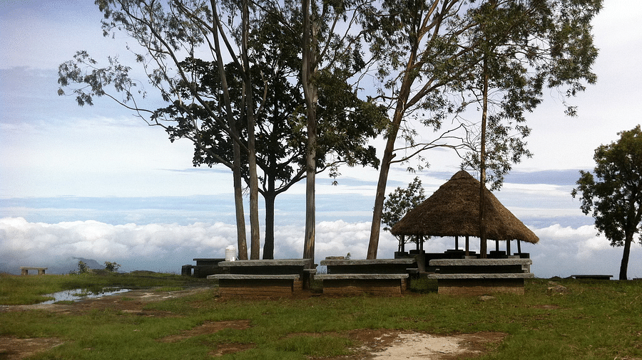 Heaven's Ledge - Campsite, Yercaud Yercaud heavens ledge campsite yercaud 6