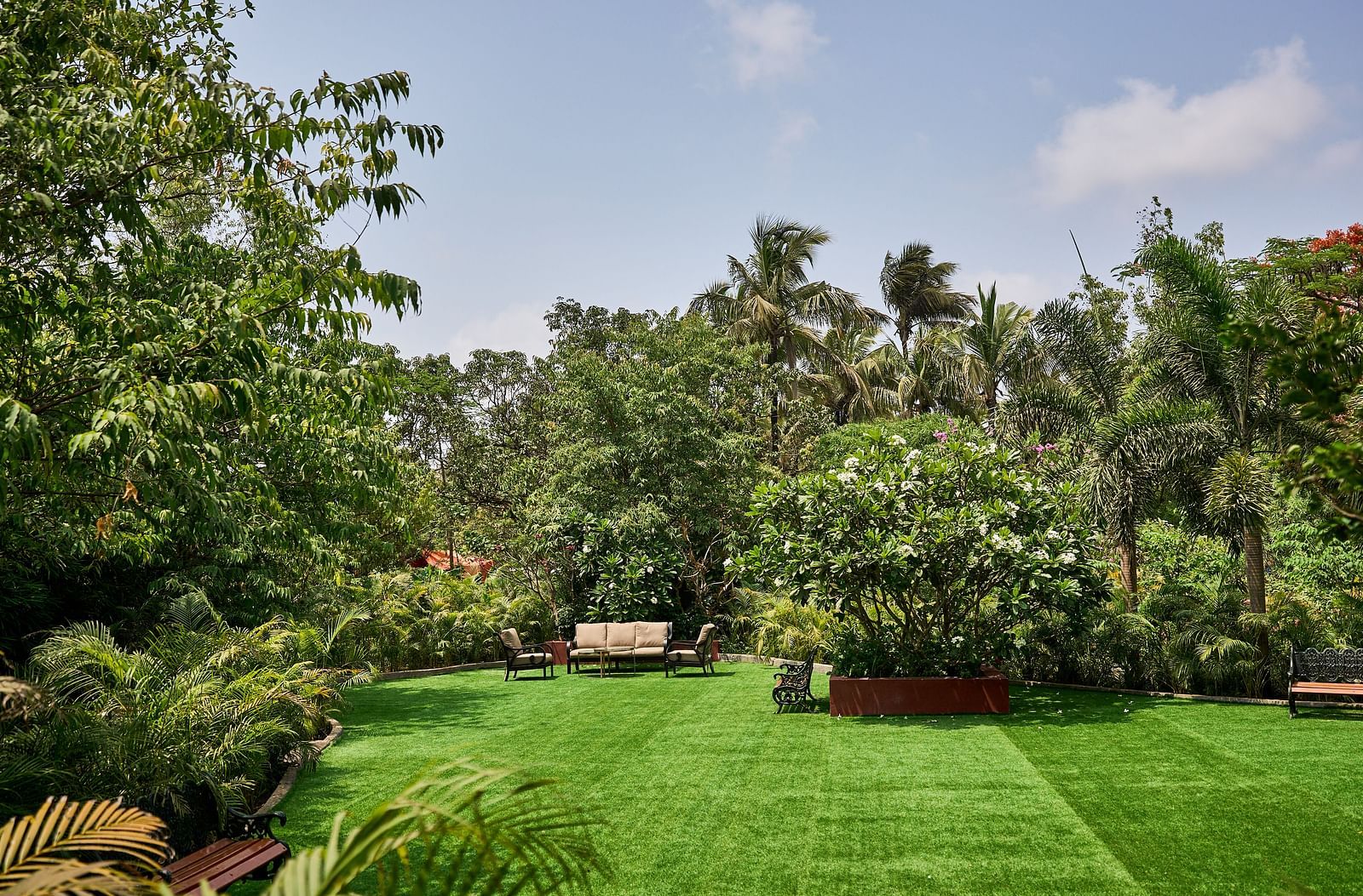 Lawn area encircled by trees and plants, with seating arranged for relaxation at Mayfair Manor, Alibag