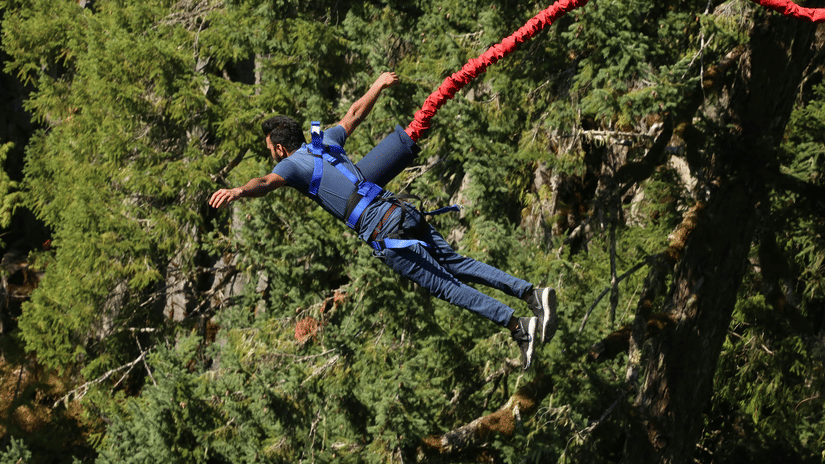 A person in a blue harness bungee jumping over a lush green forest canopy.