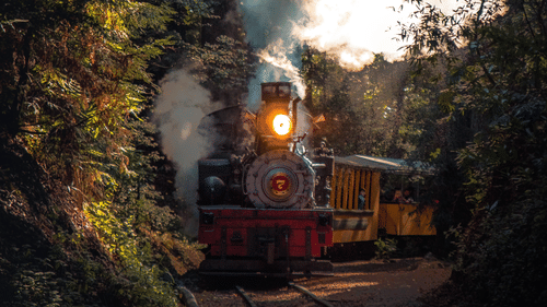 A toy train going running inside a forest with the sunshine reflecting in the background
