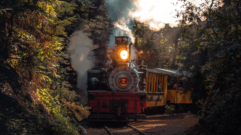 A toy train going running inside a forest with the sunshine reflecting in the background