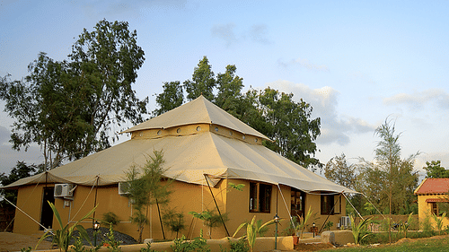 Head at Infinity Resorts Kutch 2