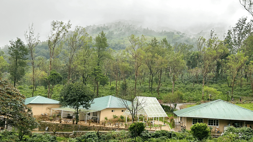Facade view of Ibex Resort, Valparai—the best resort in Valparai—surrounded by lush greenery, tall trees and misty mountains.