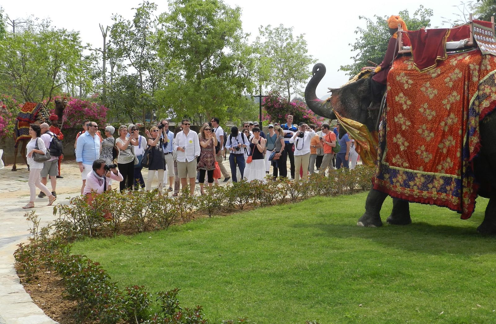 Guests gather outdoors for a royal welcome, with a traditionally decorated elephant - Khas Bagh, Jaipur.