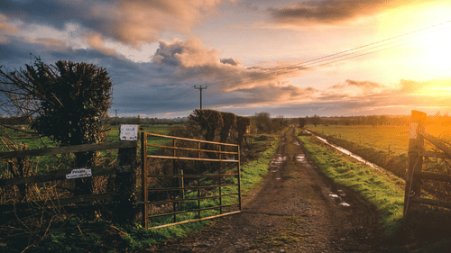 An image of the entrance to a farm with a beautiful sky at the time of sunset
