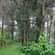 Young Island Resorts - Coorg Coorg Young Island Resorts Coorg 5