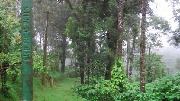 Young Island Resorts - Coorg Coorg Young Island Resorts Coorg 5