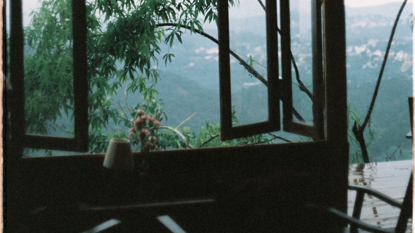 pexels-tram-tran-57040197-7885259