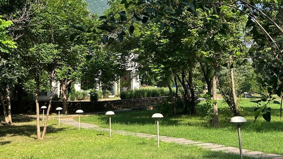 9-Landscape - Surya Bagh -11