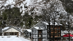 snapedit 1707131540919