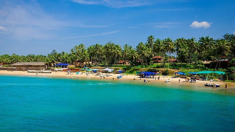 aerial shot of a beach in goa