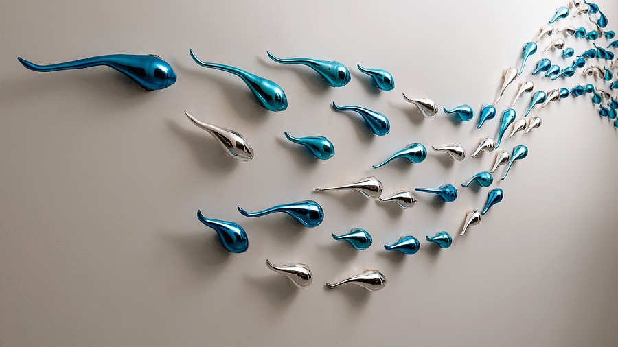 A fish-themed décor adorns the wall of a room at Cloud9 Sarovar Premiere, Palolem Goa, adding a unique touch to the space