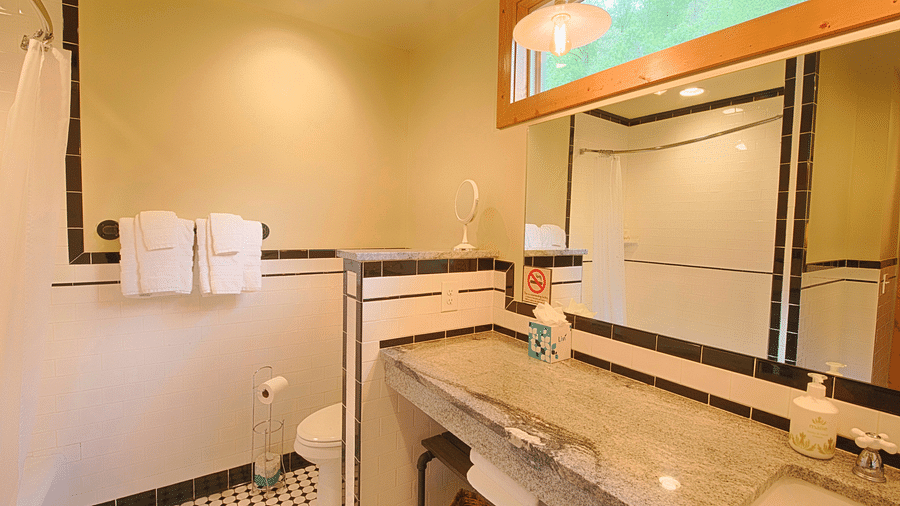 a bathroom featuring a huge mirror over a washbasin and a commode besides it - Historic Tapoco Lodge