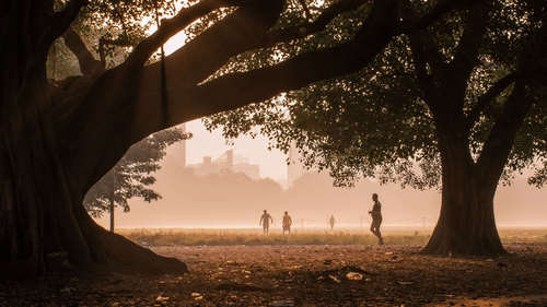 Visitors enjoying a peaceful green space beneath large trees during the early morning.