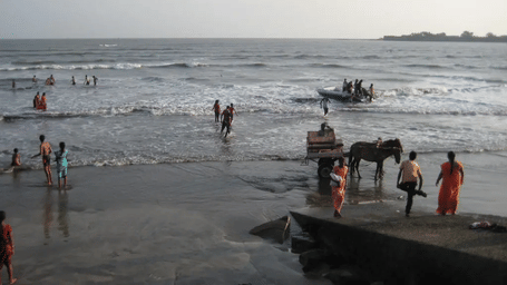 People wade in the ocean near a shore where a horse-drawn cart stands.