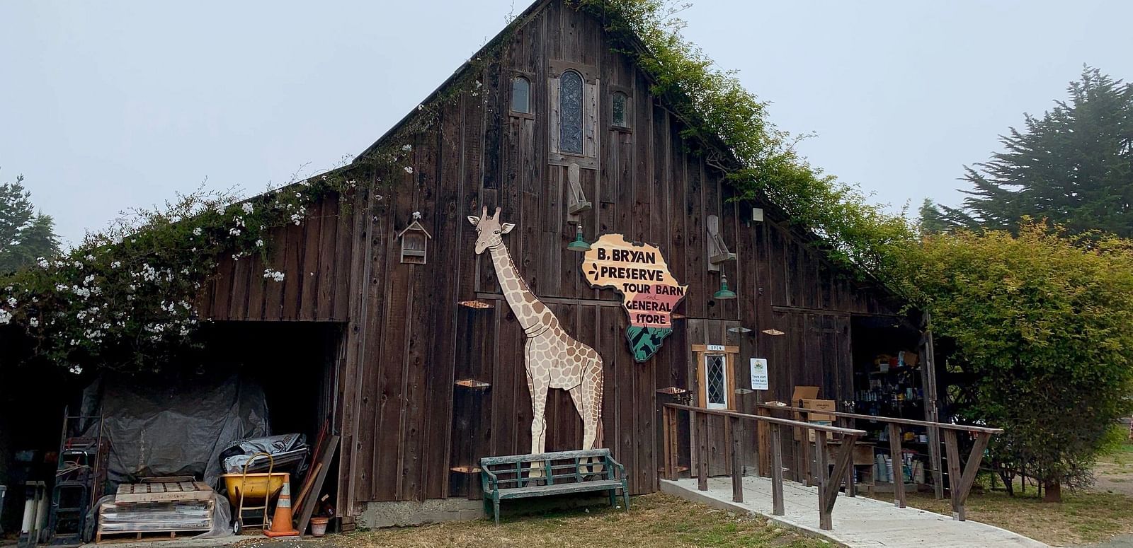 A wooden barn-like building features a giraffe sculpture, with greenery growing on the roof and sides.