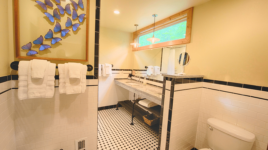 a bathroom featuring a commode and the washbasin along with a beautiful wall hanging decoration - Historic Tapoco Lodge