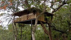 Tranquil Resort,  Wayanad Tree House