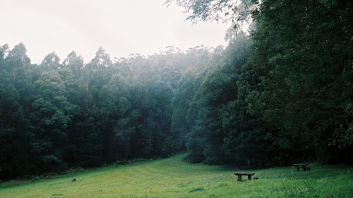 A misty landscape of rolling hills with trees in the foreground and haze in the distance.