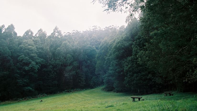 Sanjay Gandhi National Park, Mumbai
