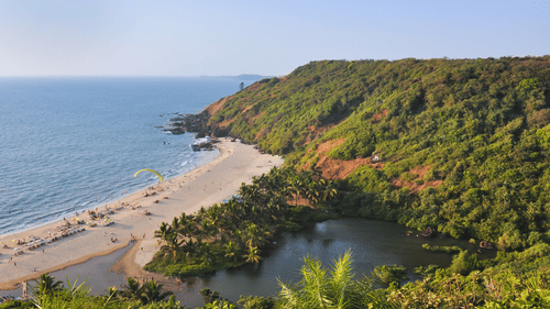 An aerial view of a beach in goa with a forest cover on the hill and a beach on the other side