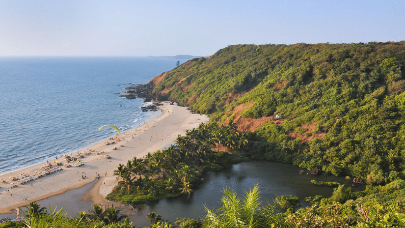 The lush green vegetation that surrounds Arambol Beach