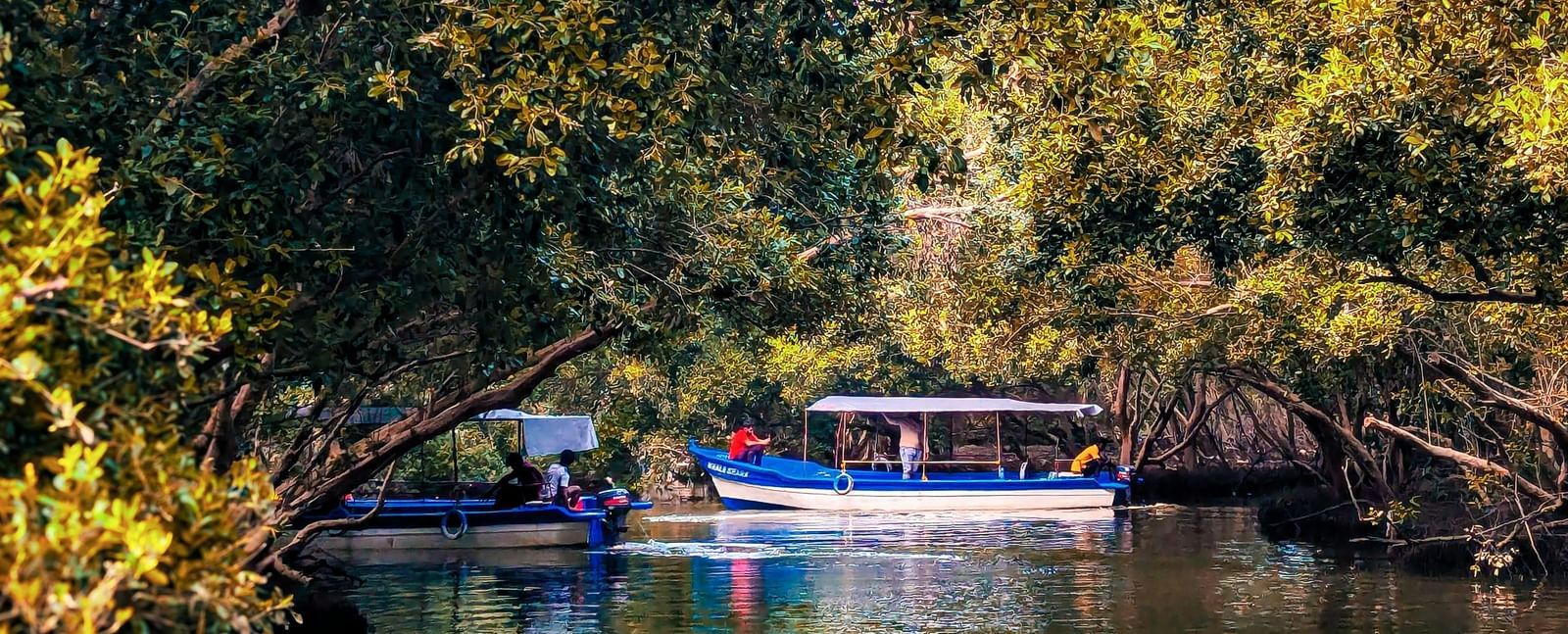 A motor boat sailing through a river with crystal-clear waters surrounded by lush green forests.