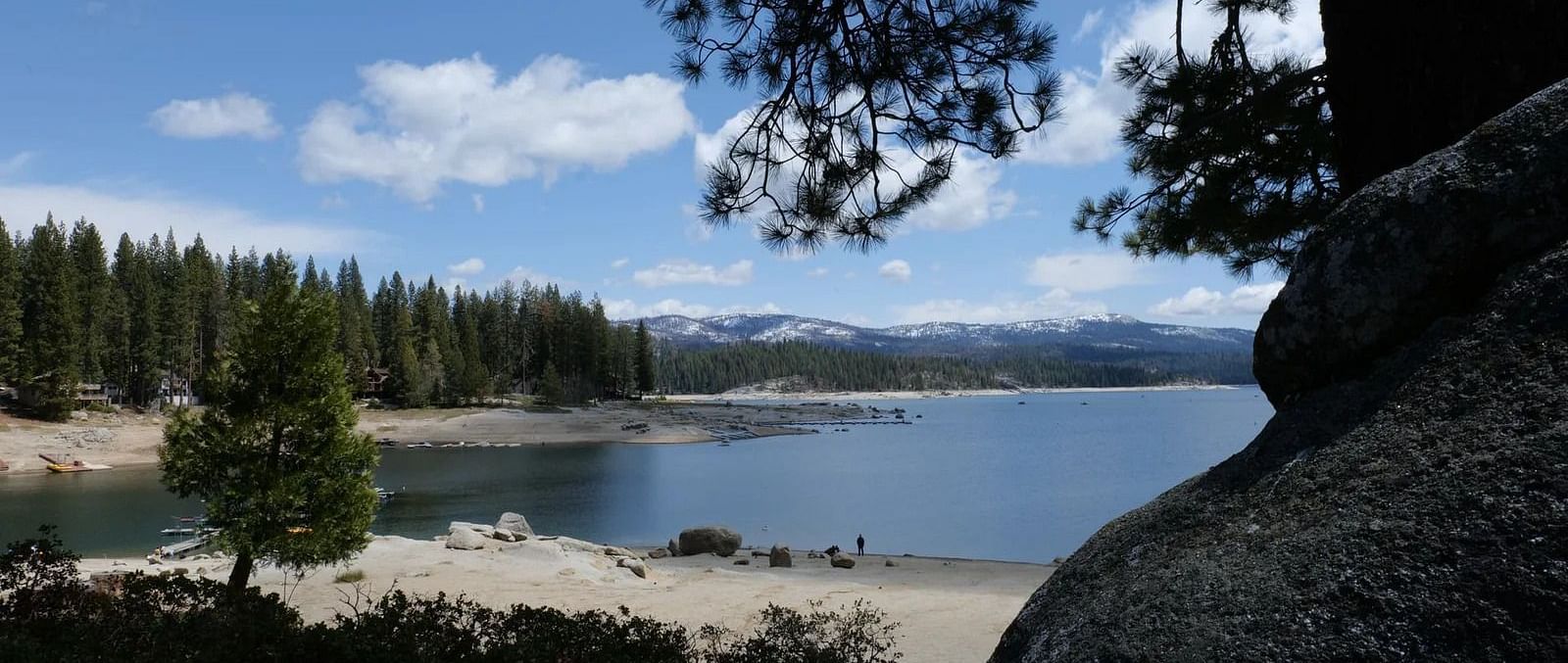 View of a lake with a tree trunk in the foreground and a forest in the backdrop - Shaver Lake Village Hotel.
