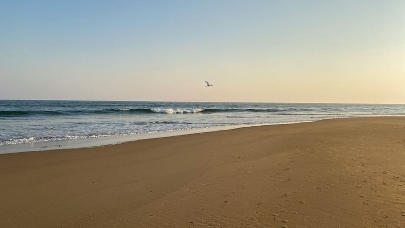 beach puri odisha