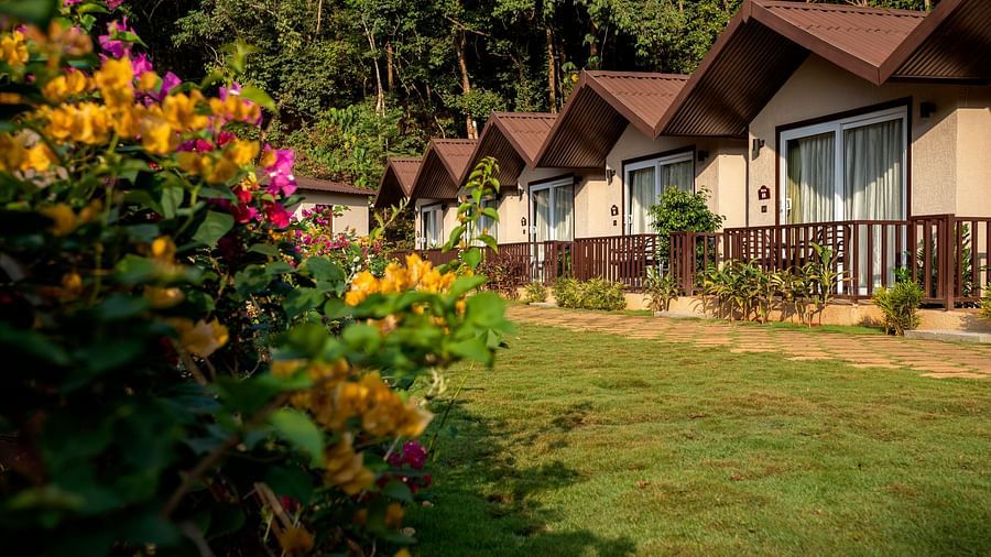 A view of the cottages at our resort from a garden in front filled with colourful flowers - Stone Wood Nature Resort, Gokarna