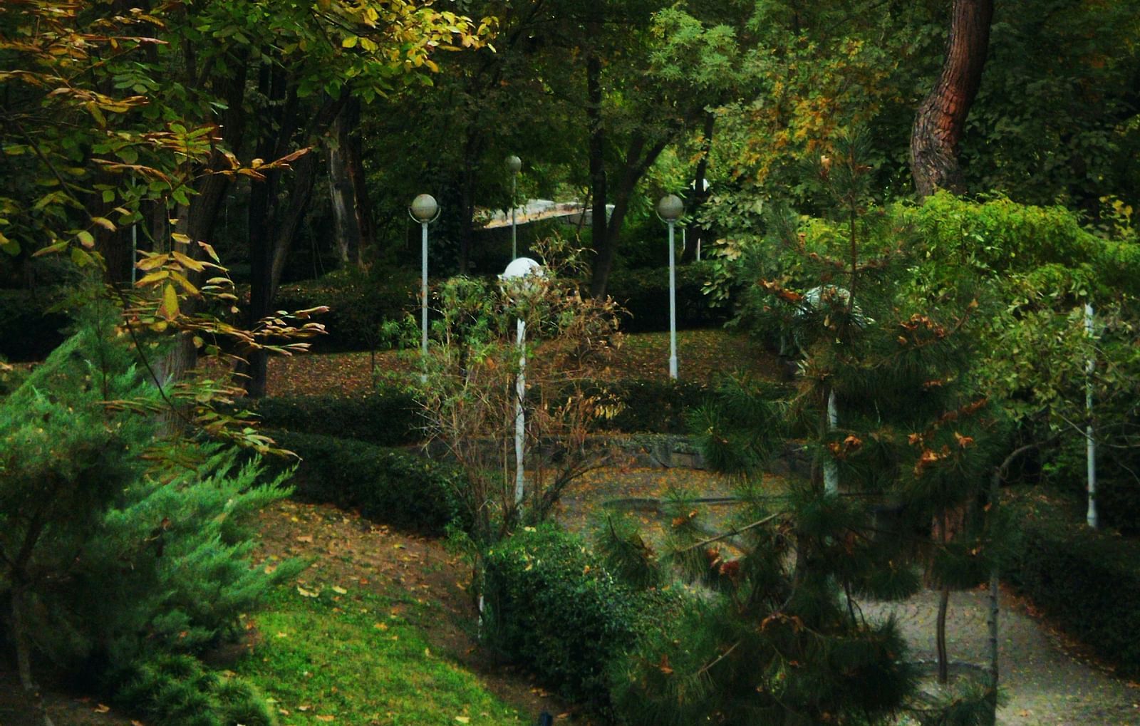 Elevated view of a park with winding paths, lush trees, and lamp posts on a sunny day.