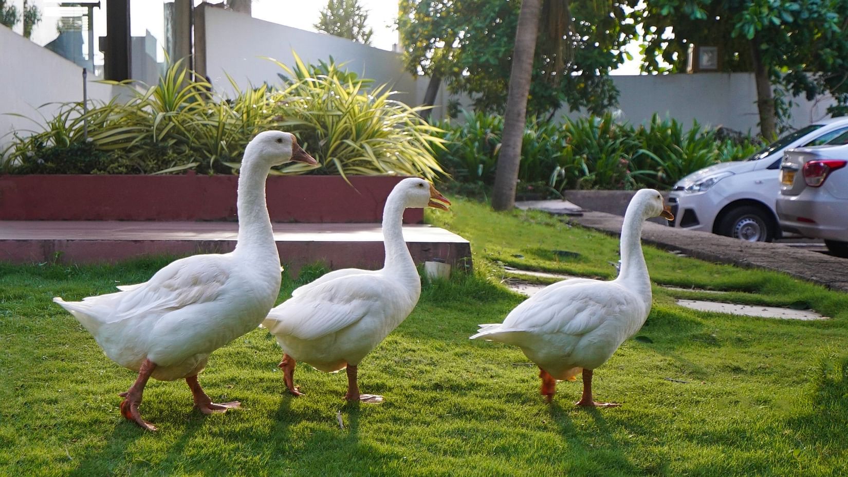 Sai Priya Beach Resort Vizag 3