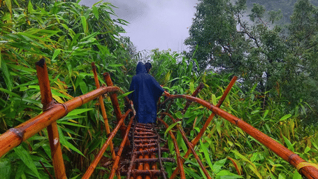A group of people trekking on a bamboo bridge.