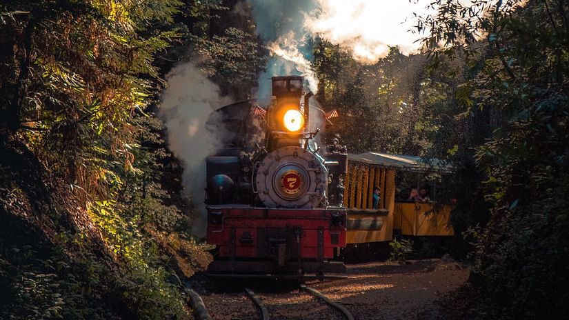 a toy train running through lush vegetation