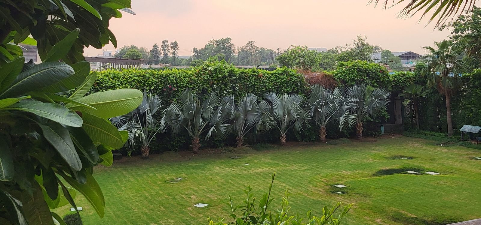 A view from the balcony of a Golden SUites Gurgaon building featuring a lawn surrounded by plants and trees 